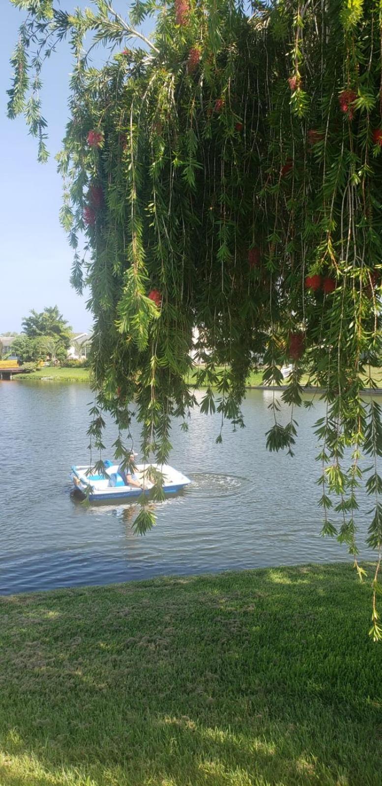 Near Clearwater And Tarpon Spring With Water View Apartamento Holiday Exterior foto