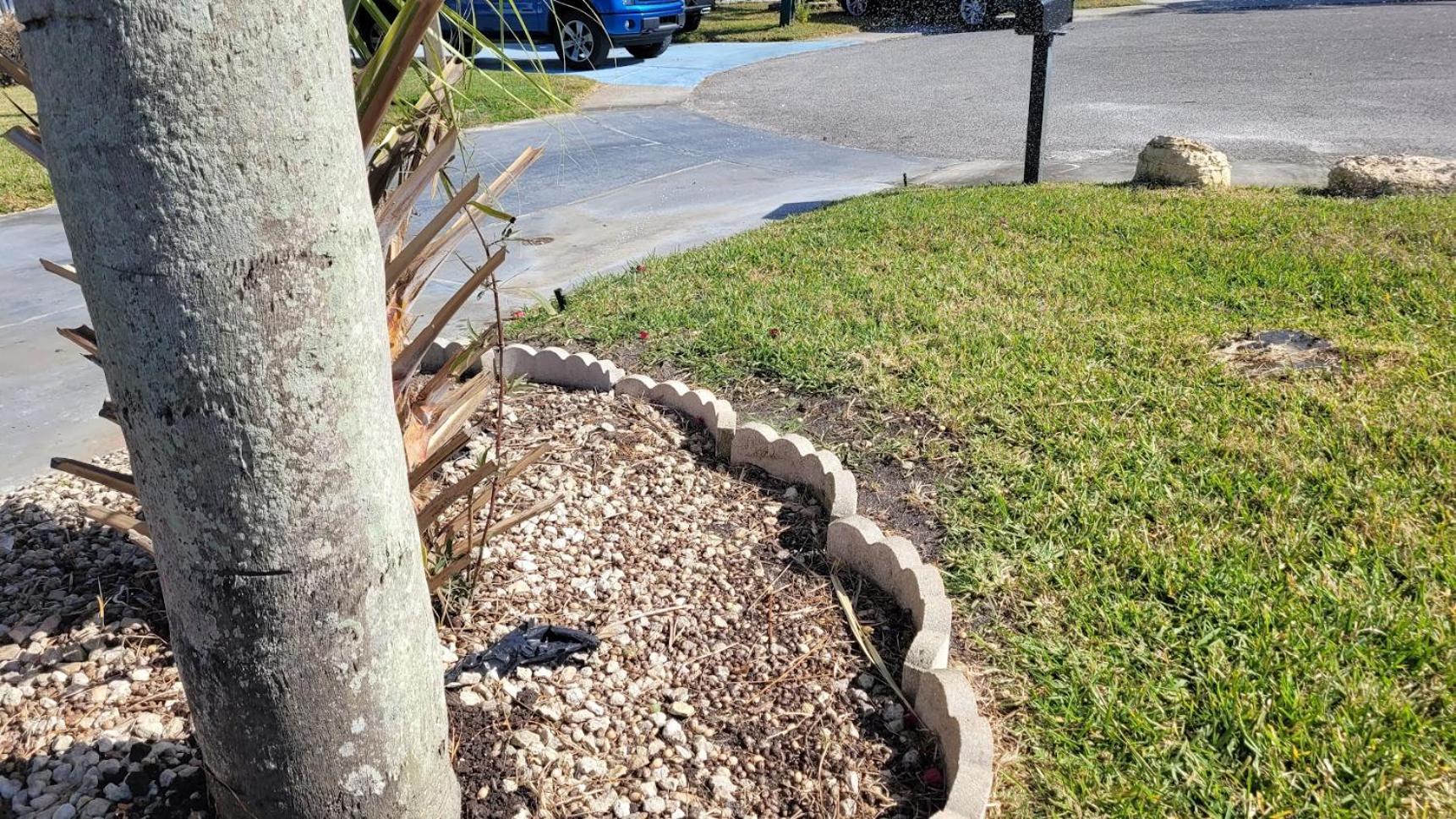 Near Clearwater And Tarpon Spring With Water View Apartamento Holiday Exterior foto